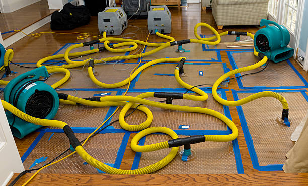Professional Water Damage Repair technician working in Springport, IN
